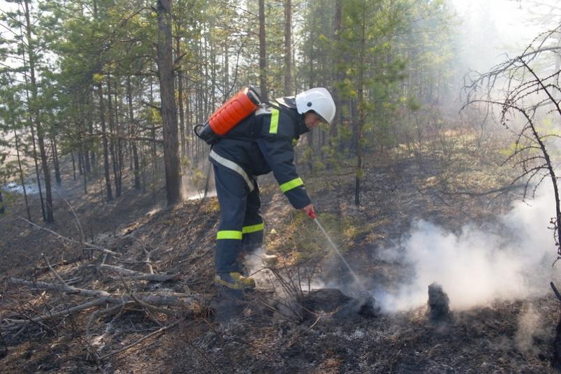 В Карачевском районе потушили лесной пожар