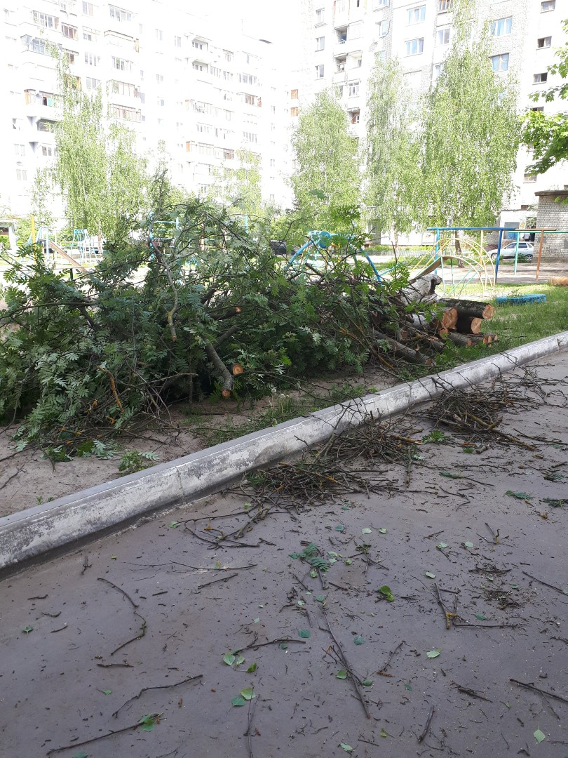 В Брянске жители многоэтажки жалуются на беспорядок во дворе