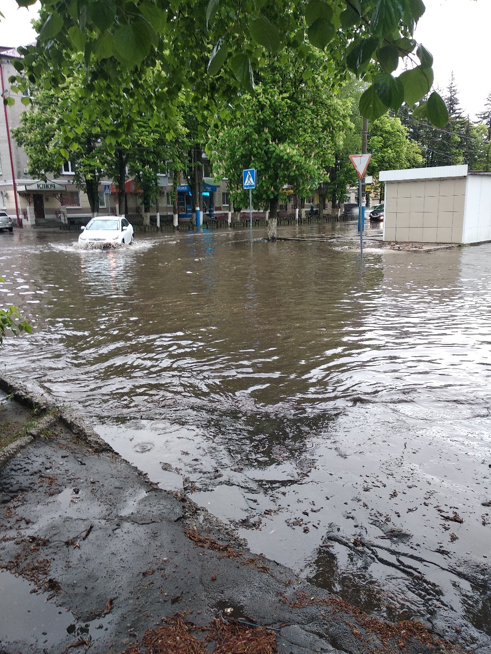 Непрекращающийся дождь в Брянске привёл к потопу