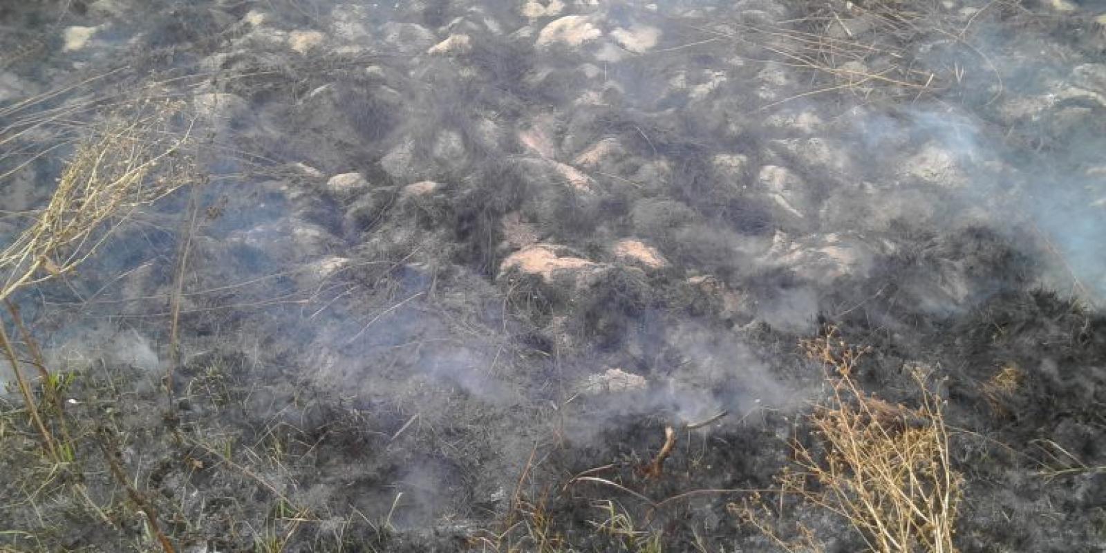 В Жуковском районе загорелся торфяник