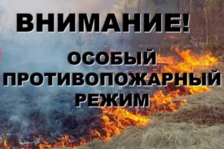В Брянске введён особый противопожарный режим