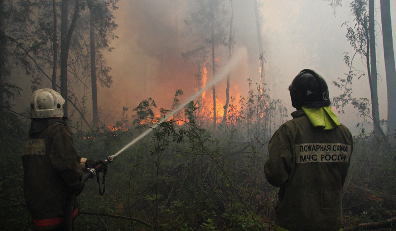 В Красногорском районе пожарные три часа боролись с лесным пожаром