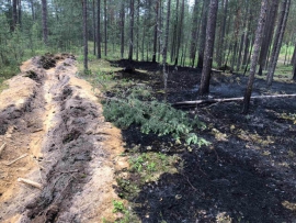 В Брянском районе вновь тушили лесной пожар