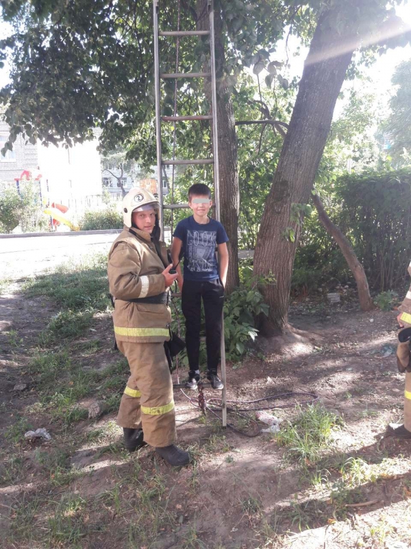 В Брянском районе спасатели сняли с дерева мальчика