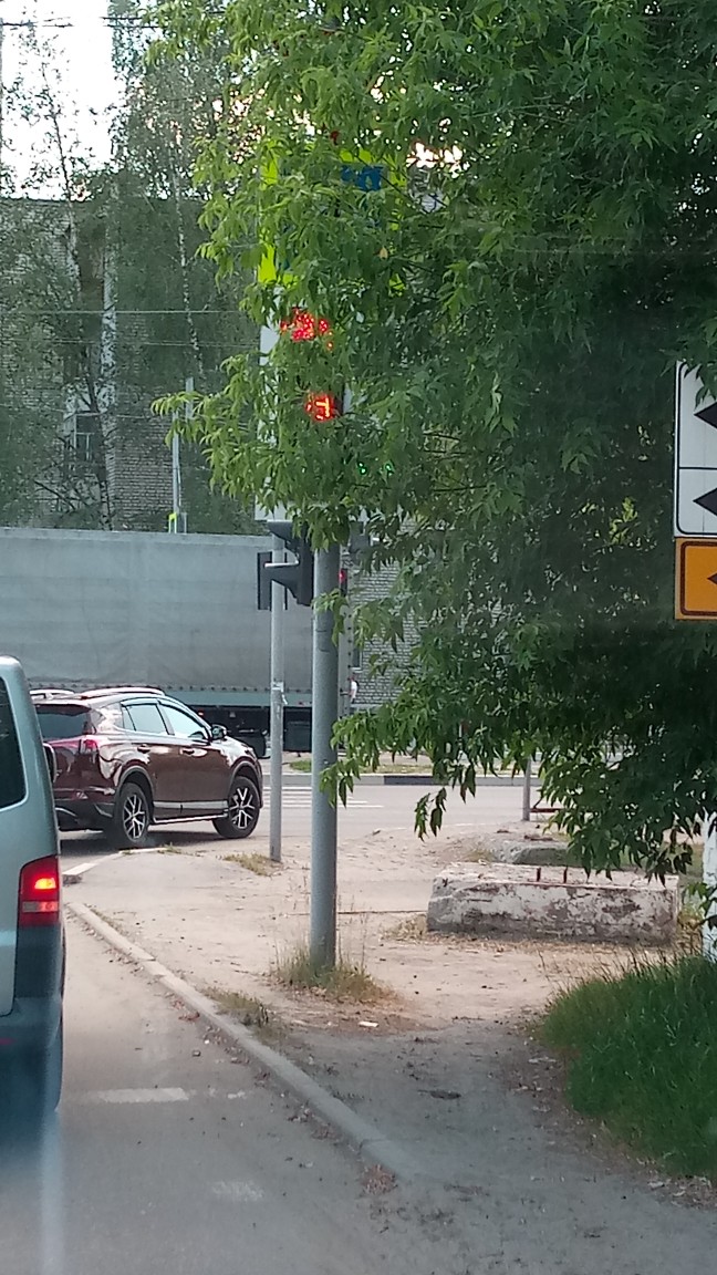 В Брянске дерево не даёт водителям разглядеть дорожный знак и сигнал светофора