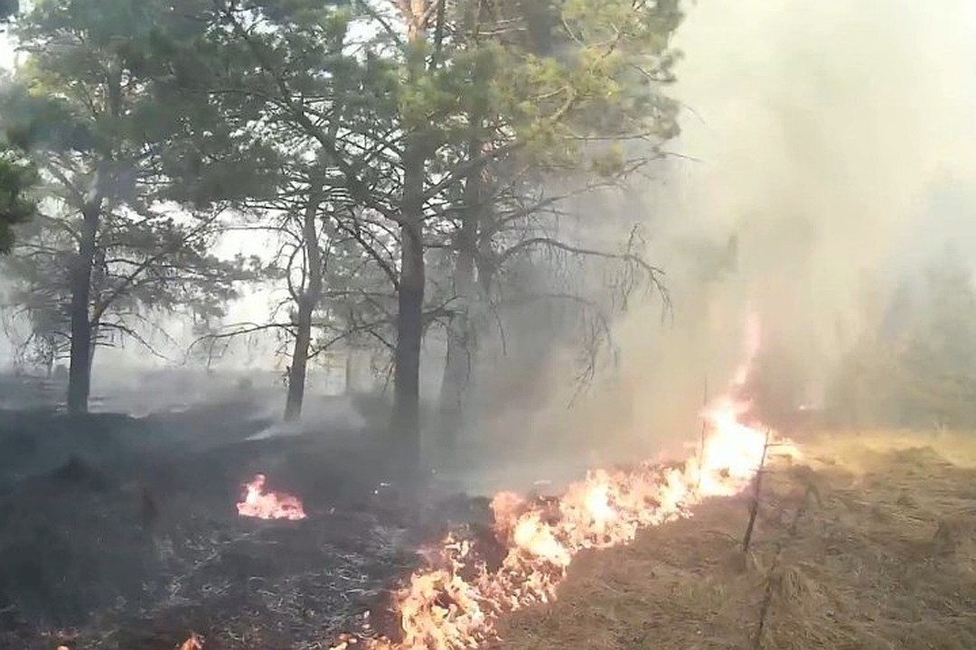 В Трубчевском районе боролись с лесным пожаром