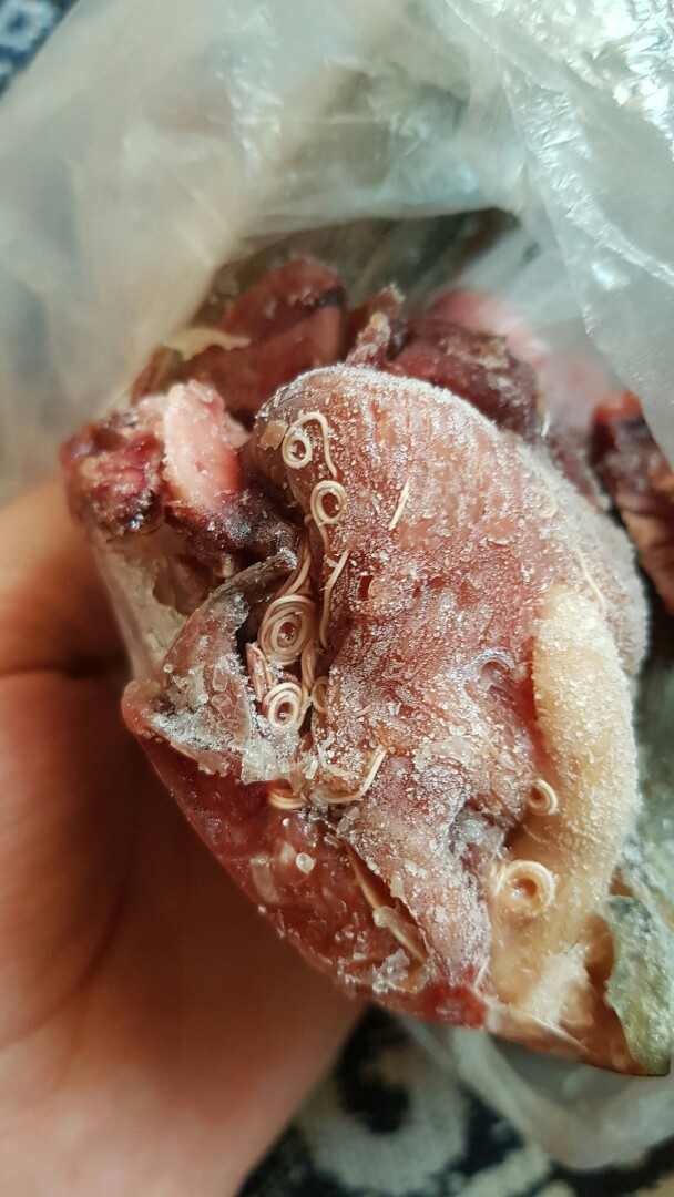 Житель Брянской области купил скумбрию с паразитами