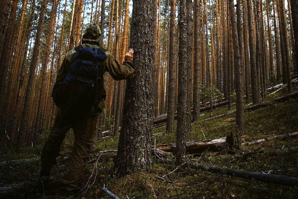 Инспектор Герасимов вывел заблудившуюся семью грибников из Брянского леса