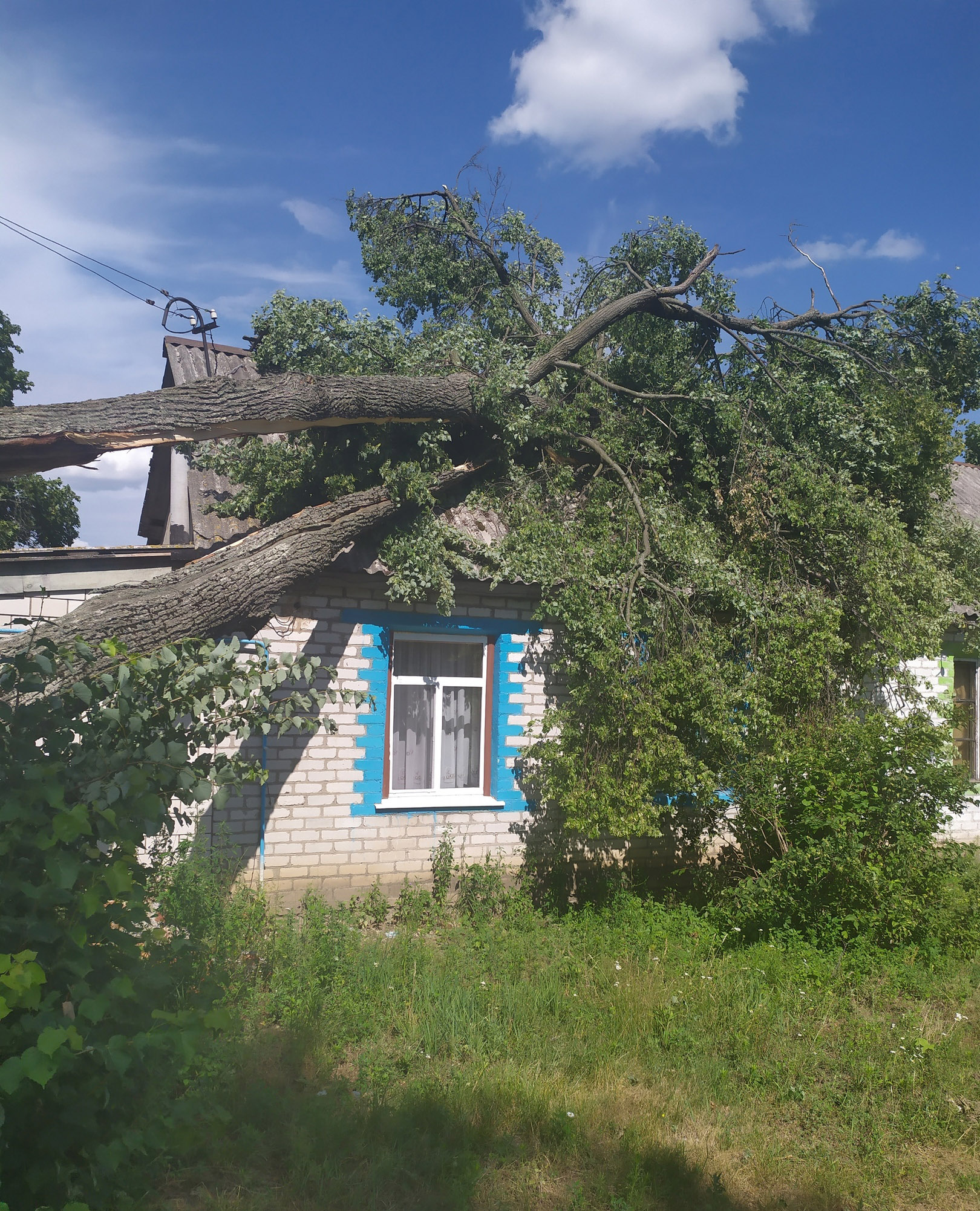 В Унечском районе аварийное дерево сломало крышу