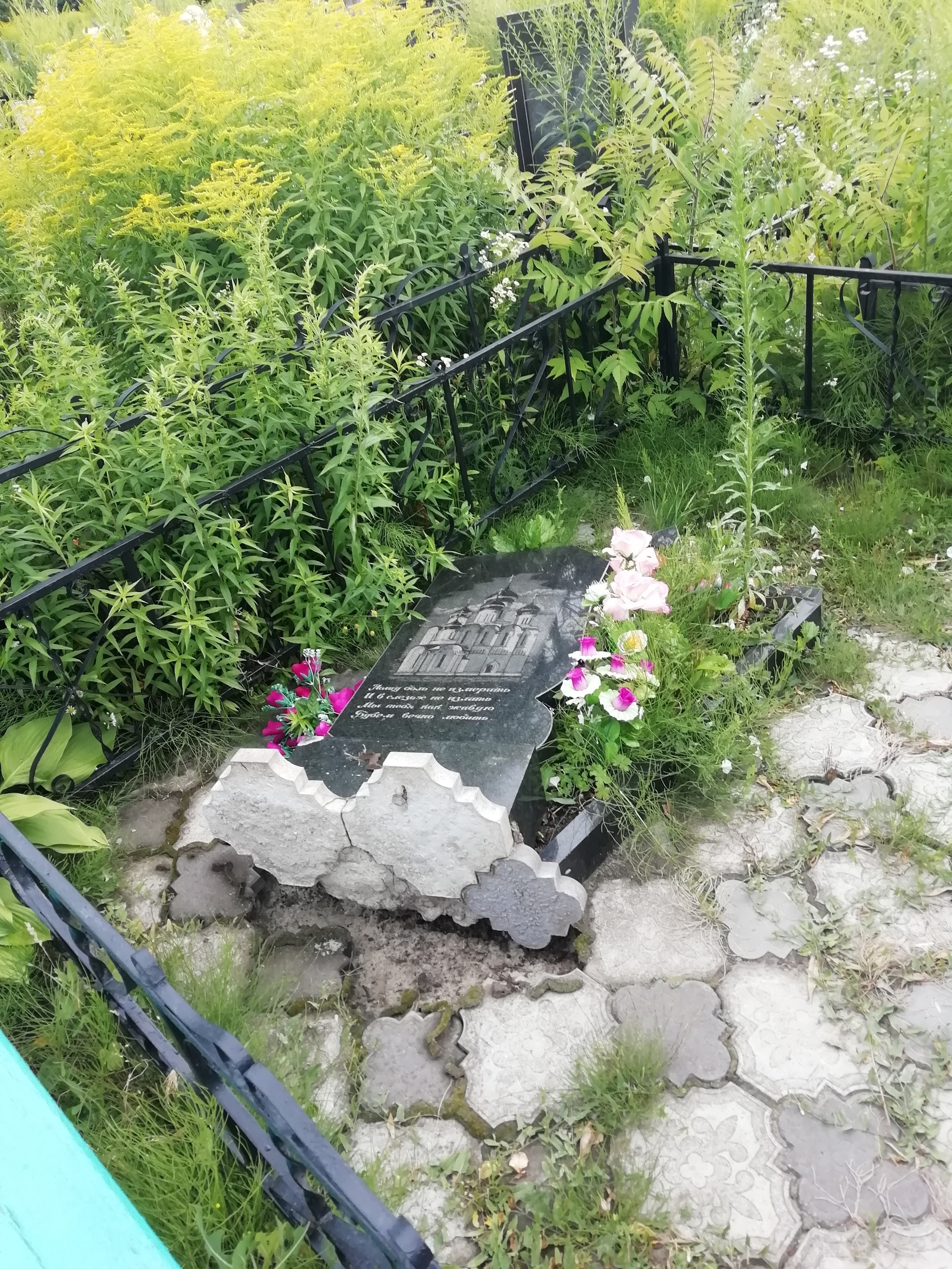 Кладбище в Советском районе Брянска “посетили” вандалы