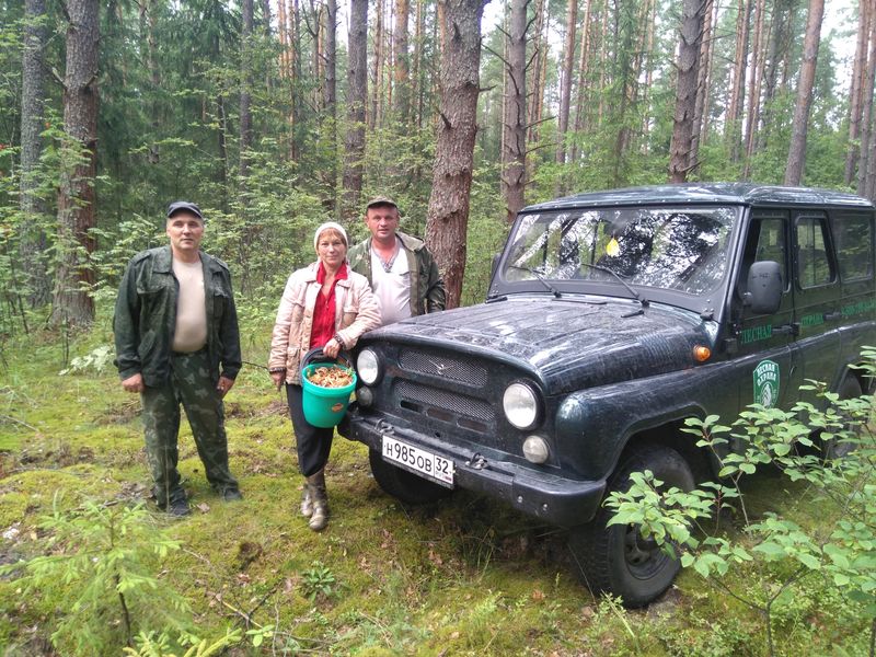 Сотрудники «Карачевского лесничества» спасли женщину-грибника