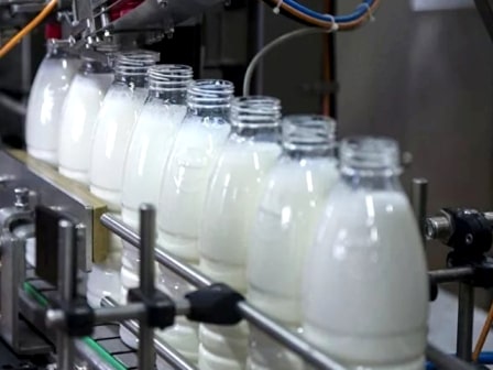 «Меркурий» покарал злынковских молочников. В продукции нашли «неизвестное сырье» и плесень