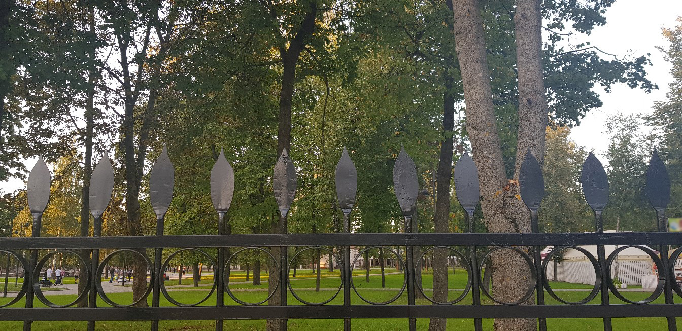 Брянцы забраковали пики на новом заборе в Майском парке