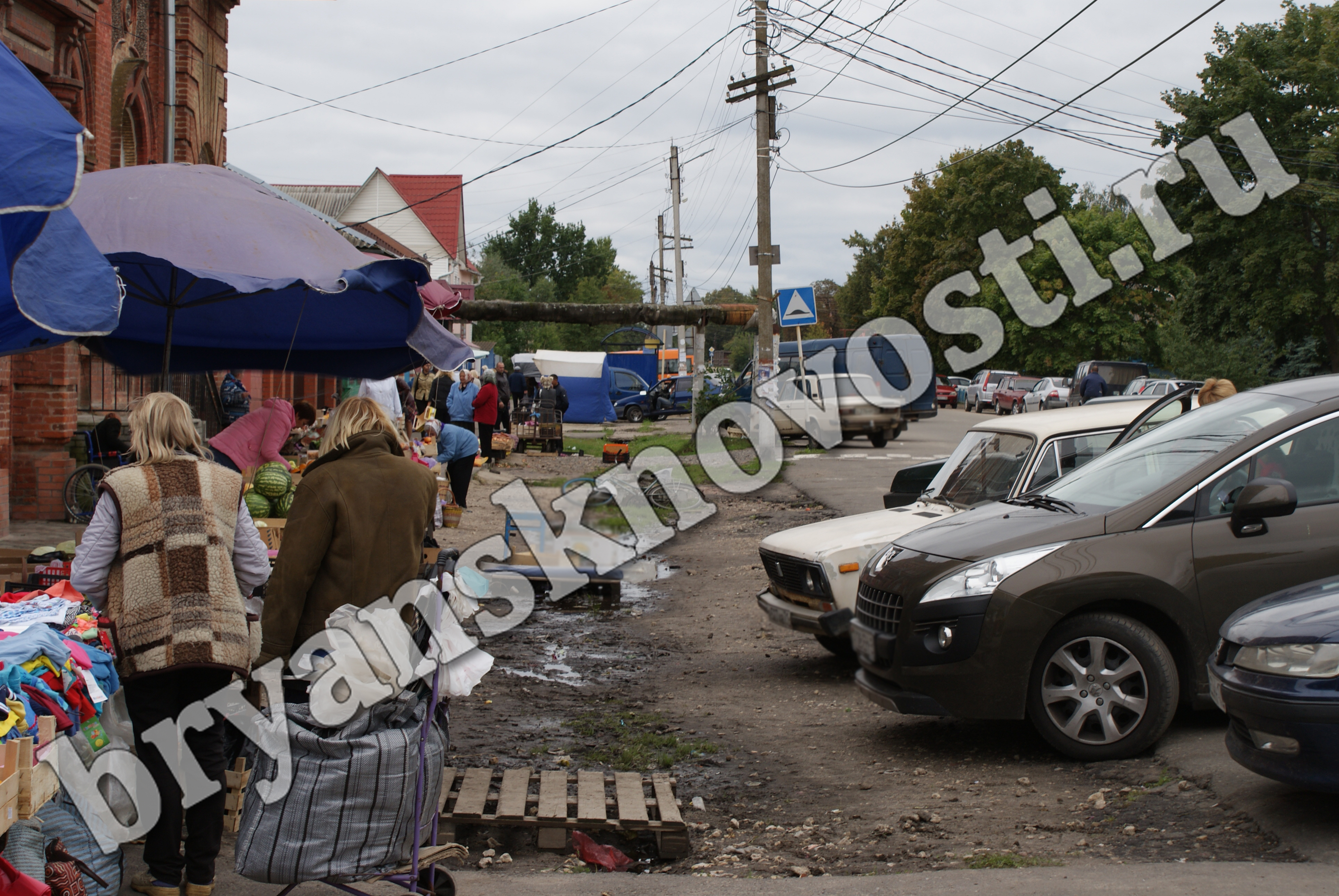 Нелегальные торговцы в Новозыбкове платят штрафы, но с излюбленных мест не уходят