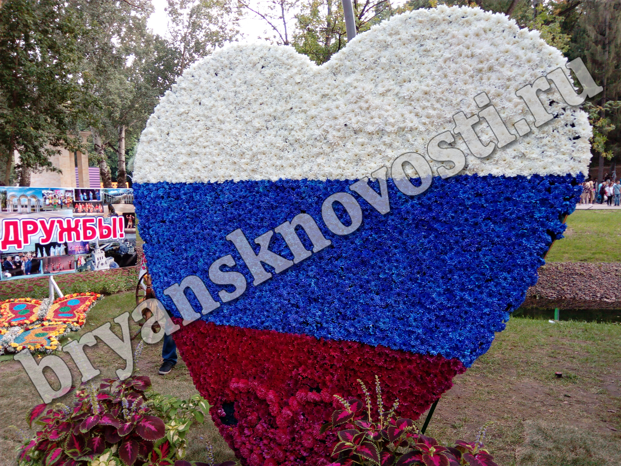В День флага в городах Брянской области будут раздавать ленточки-триколоры