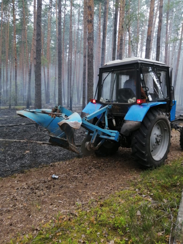 Более двух часов огнеборцы тушили лесной пожар в Брянском районе