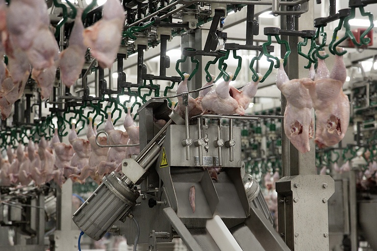 «Брянский бройлер» будет экспортировать мясо птицы на Филиппины