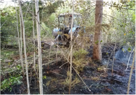 В Брянском районе на территории Журиничского участкового лесничества горела трава в лесу