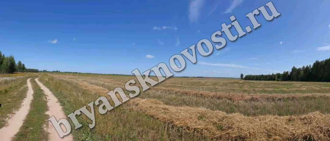 Новозыбковские аграрии держат средний результат в регионе