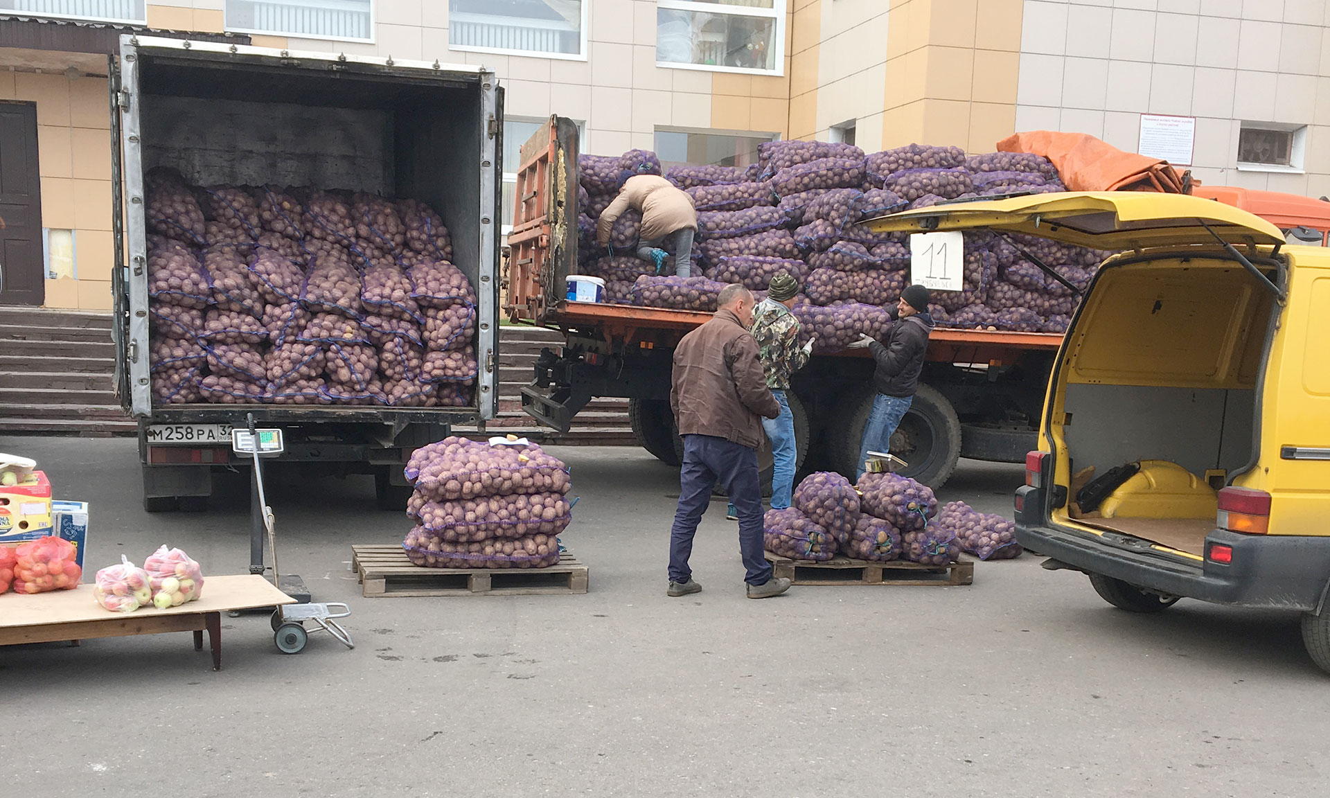 На ярмарки в Брянск овощи везут со всего региона