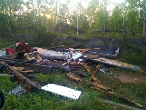 Активисты обнаружили крупные свалки на окраине Брянска