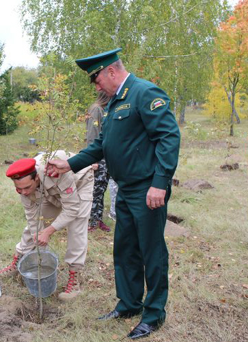Рябина – каждому солдату: в Брянской области высадили «Солдатский лес»