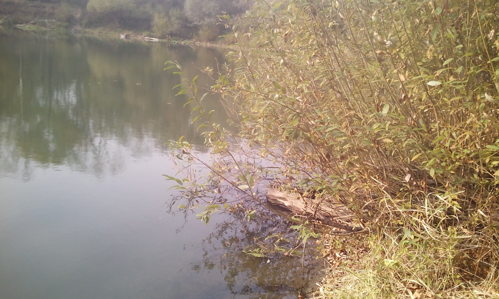 В Выгоничском районе водолазы подняли из водоема тело мужчины