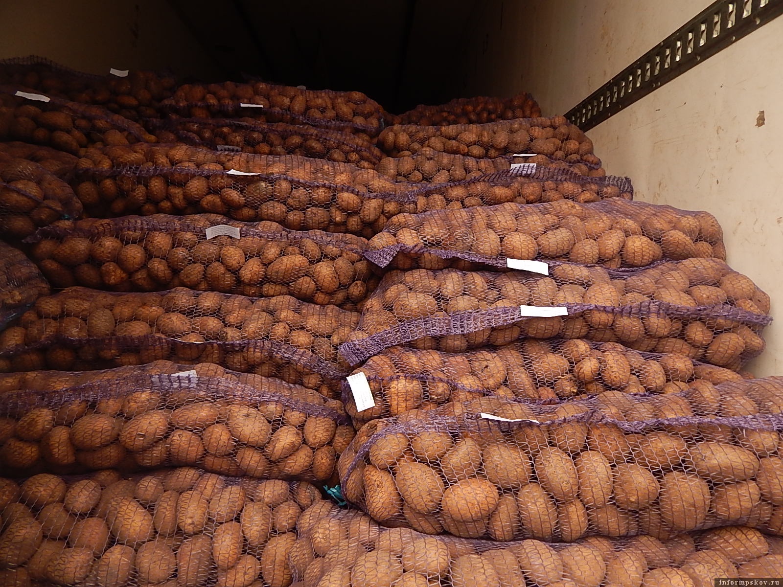 Экспорт брянского картофеля вырос в шесть раз