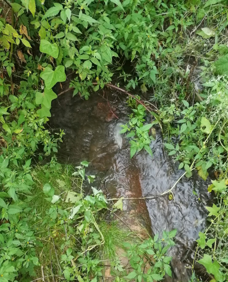 В Клинцах заметили, что канализационные сливы идут в реку