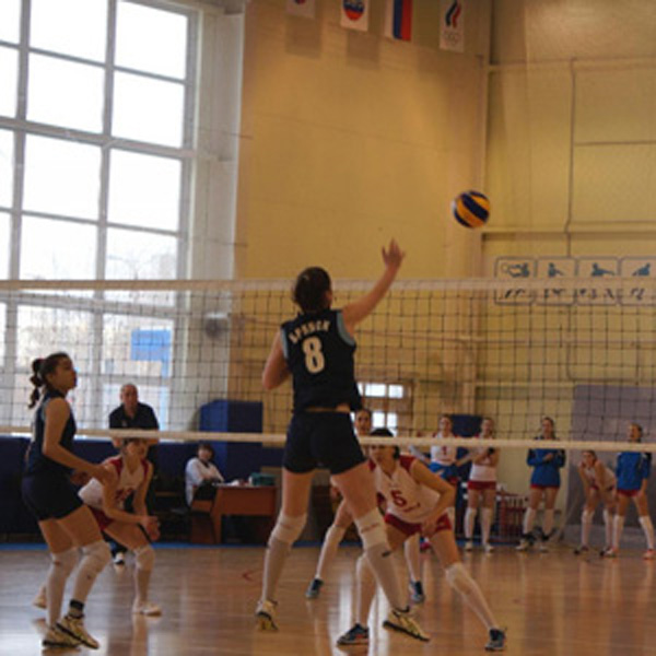 Волейбольный клуб «Брянск» начал сезон в Высшей лиге Б