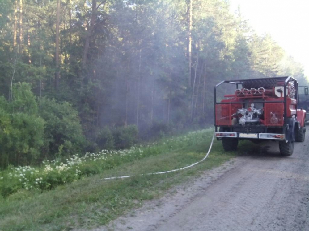 Под Суземкой сегодня утром тушили лесной пожар