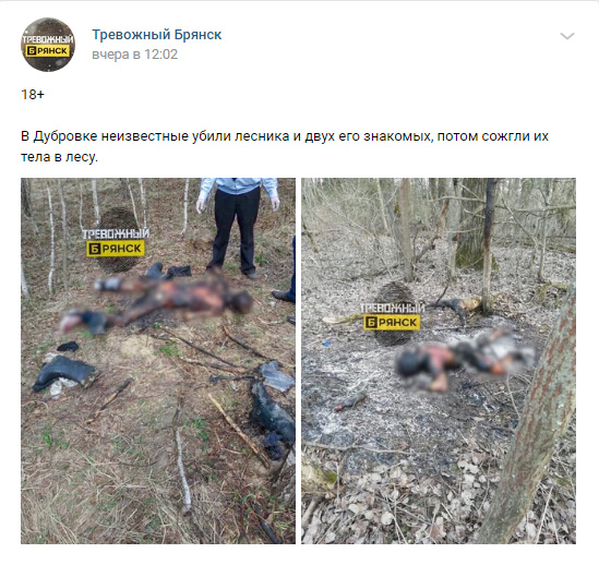 Пост в брянской группе ВКонтакте об убийстве лесника оказался фейковым