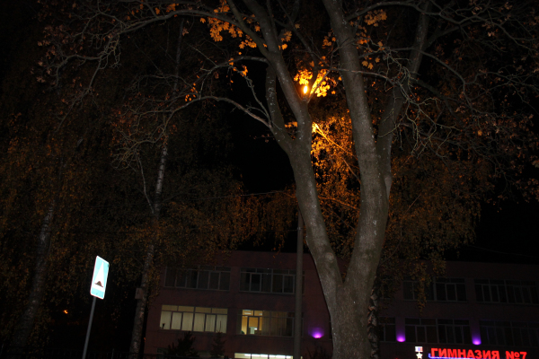 Брянские активисты требуют наладить уличное освещение возле школ