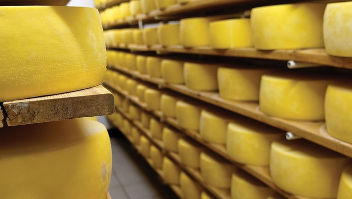 Как сыр в масле: Брянская область вошла в топ по производству сыров и сливочного масла