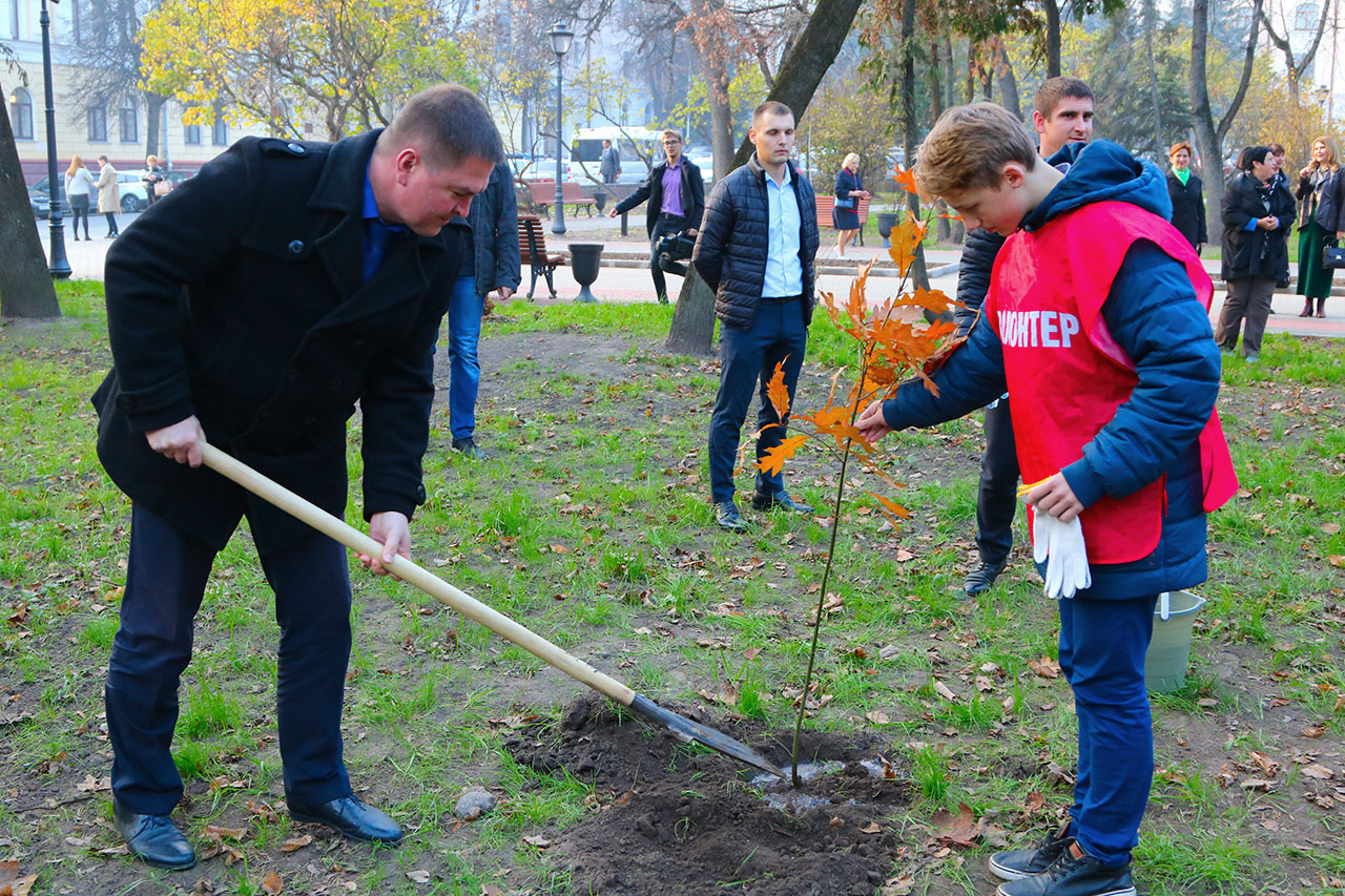 В честь открытия в Круглом сквере высадили красные дубы