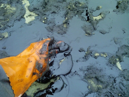 В Брянске насчитали миллионный ущерб за загрязнение почвы нефтепродуктами вблизи железнодорожной станции
