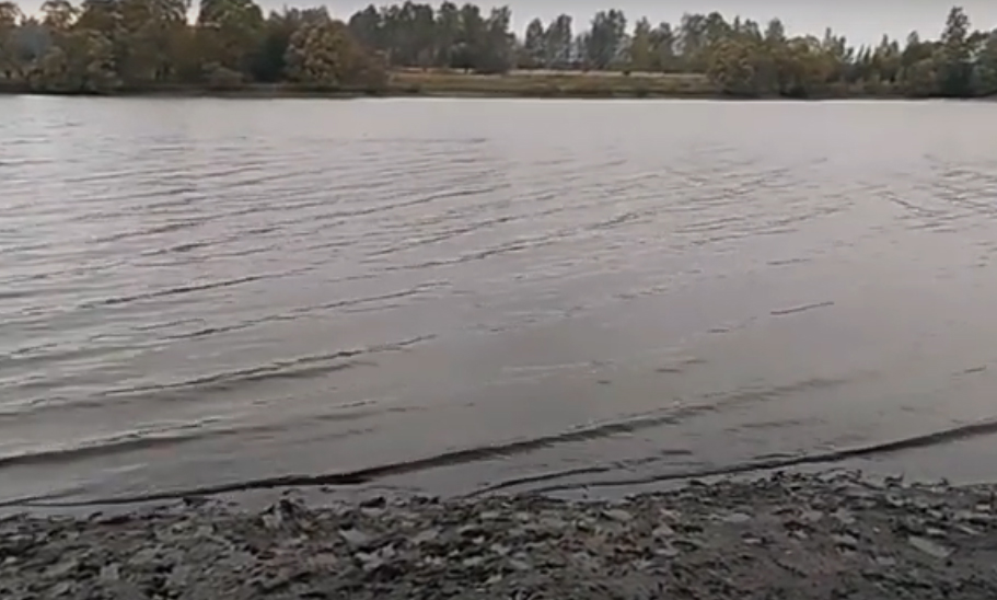 Озеро Аркино в Брянской области оказалось на грани исчезновения