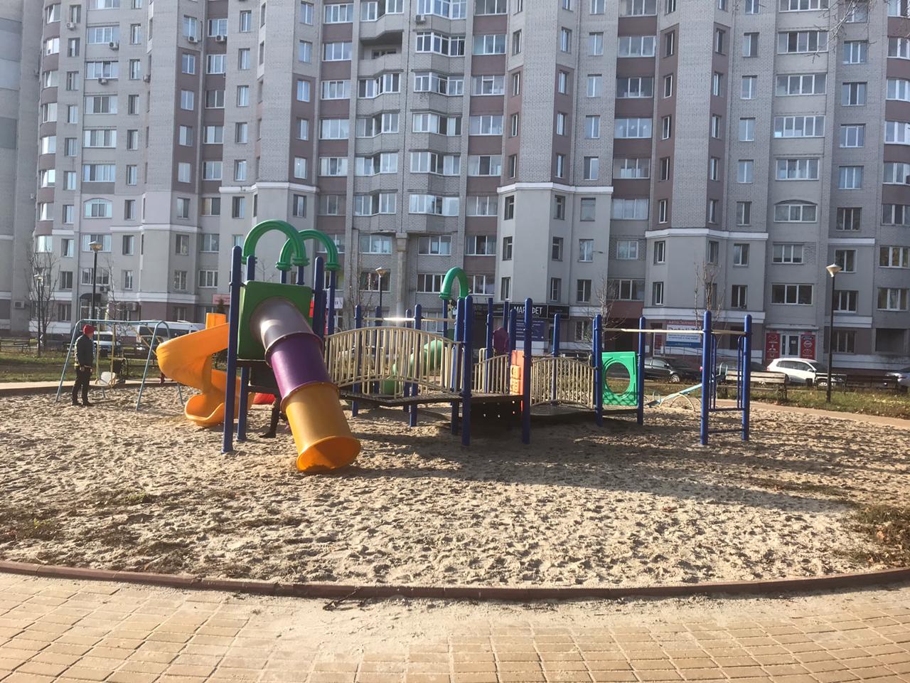 Брянские активисты ищут «хозяйственника» для детской площадки в Путевке