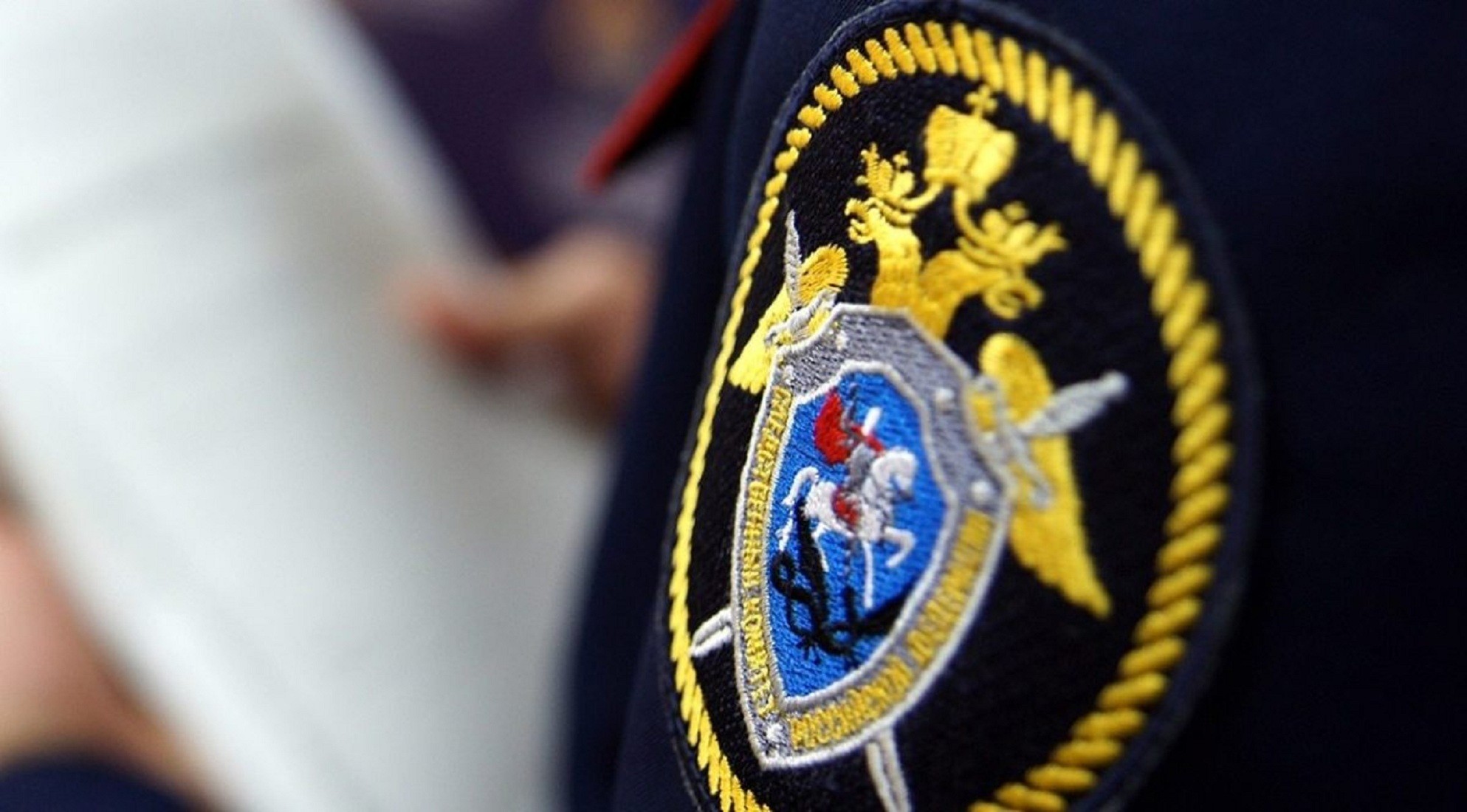 Брянская полиция проводит служебную проверку по делу Жуковских полицейских