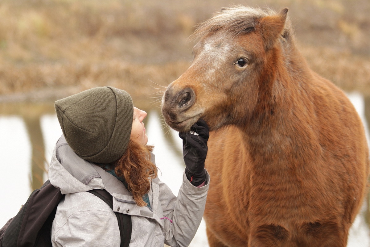 Сторонники WWF прибыли на Брянщину исцеляться с помощью Табуна счастья Лоры Уильямс