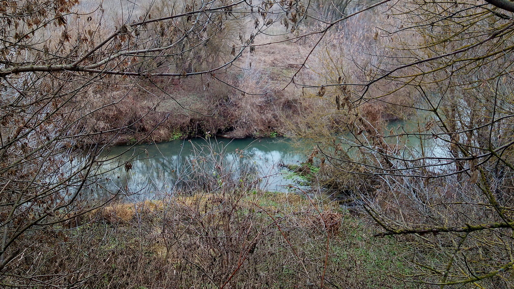 Воды в реке Сев Брянской области окрасились в изумрудный цвет