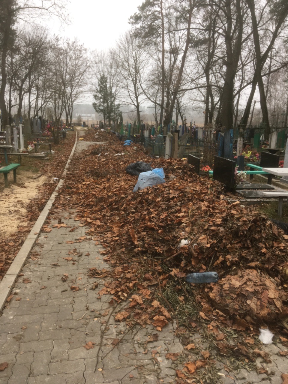 Причиной свалок на кладбище в Клинцах стало бездействие чиновников