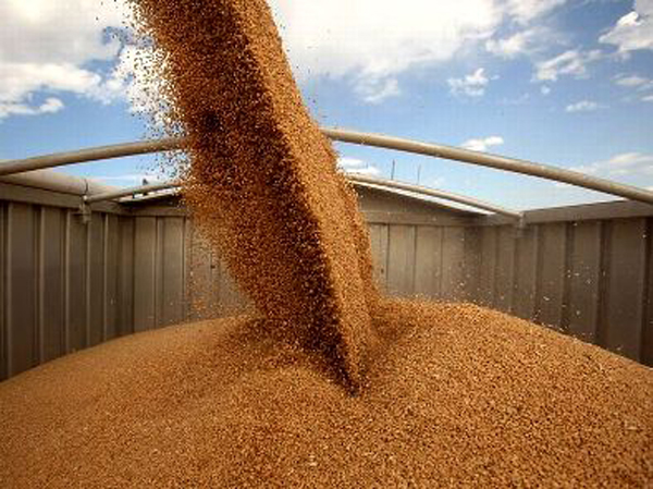 Почти 250 тысяч тонн сельскохозяйственной продукции пошло из Брянской области на экспорт