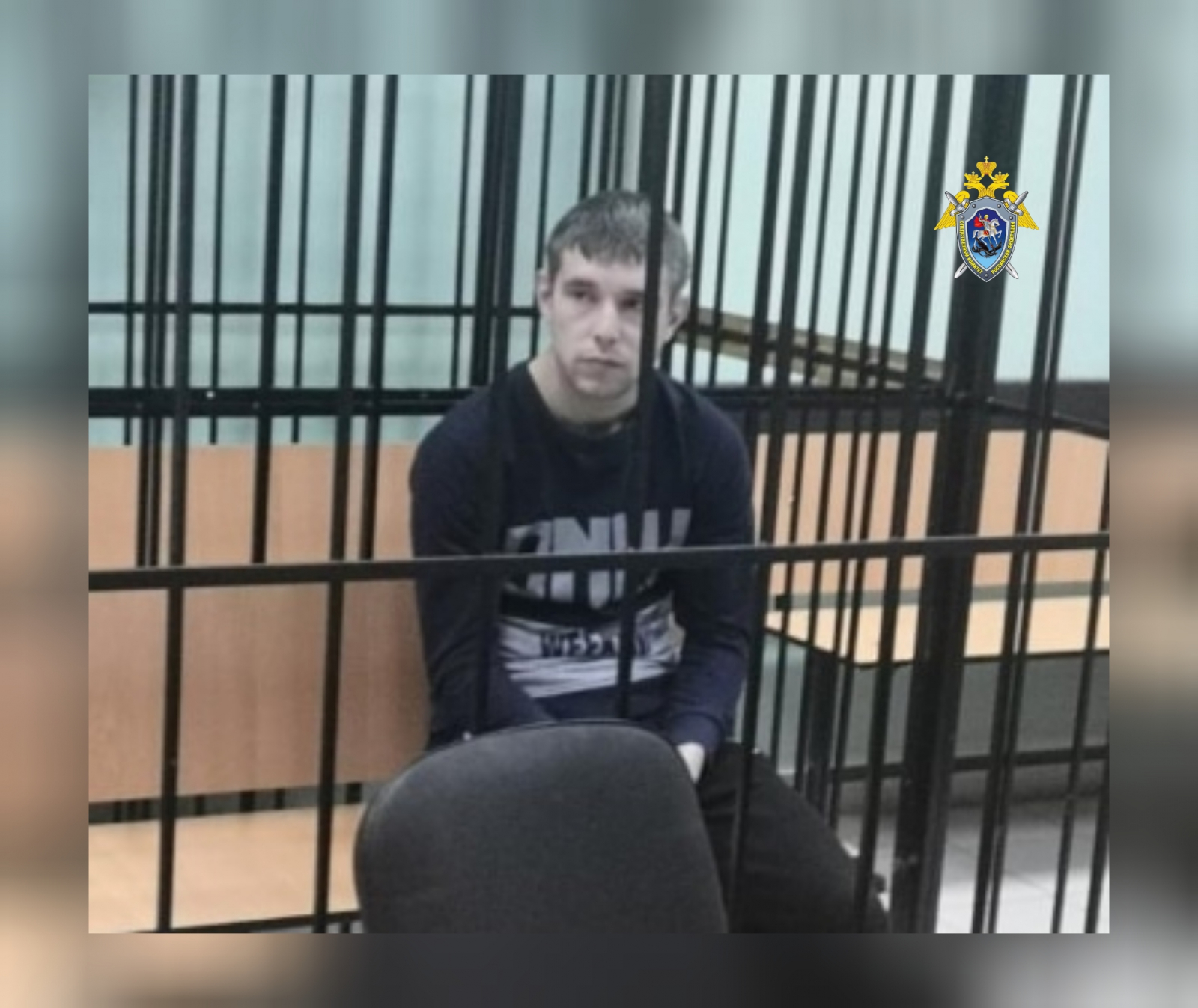 Подозреваемый в убийстве четырех человек в Брянской области заключен под стражу