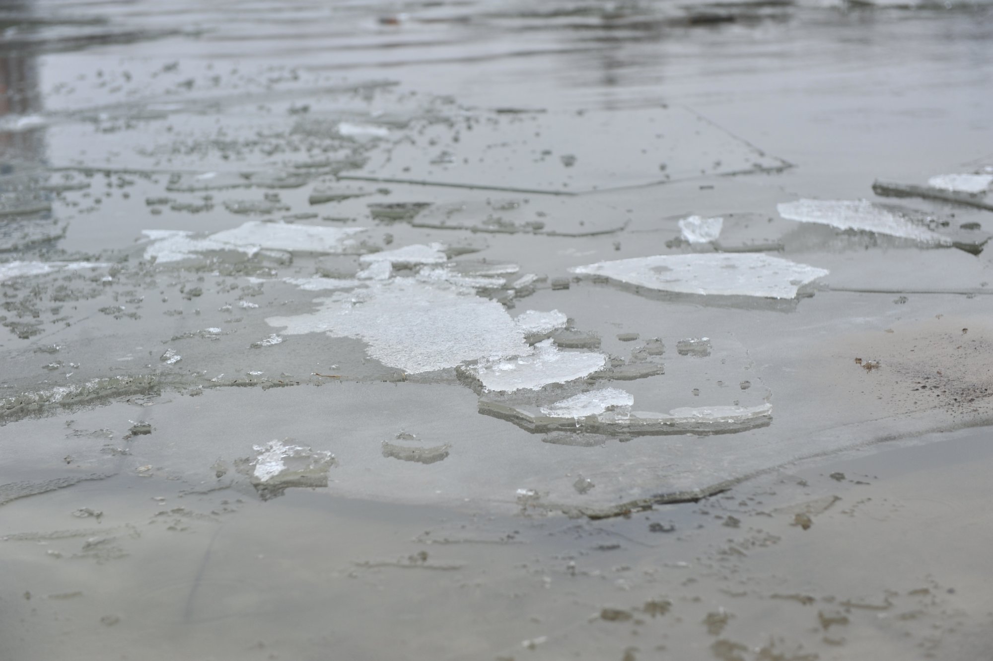 Брянское МЧС выпустило ролик об опасности тонкого льда