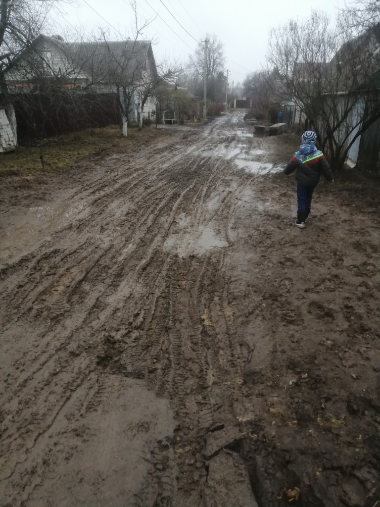 Жители Выгоничей жалуются на болото вместо дороги