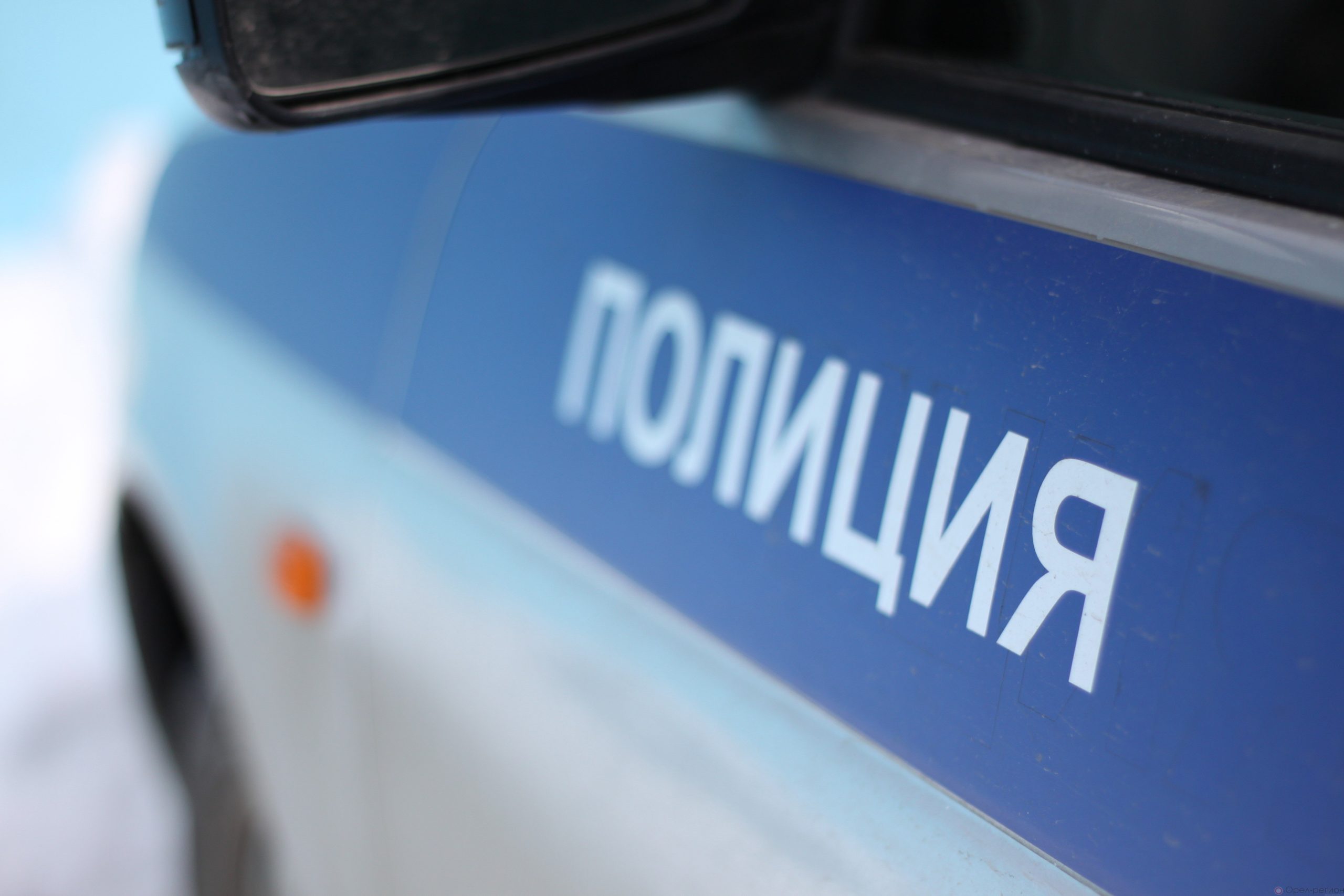В первый день нового года в Новозыбковском районе полицейские задержали похитителя виски