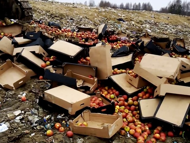 Три с половиной тонны яблок уничтожили на Новозыбковском полигоне