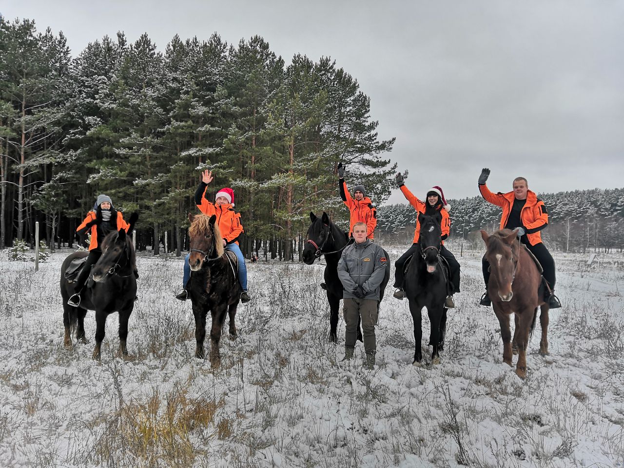 Поисковики Брянской области набирают добровольцев в конный отряд