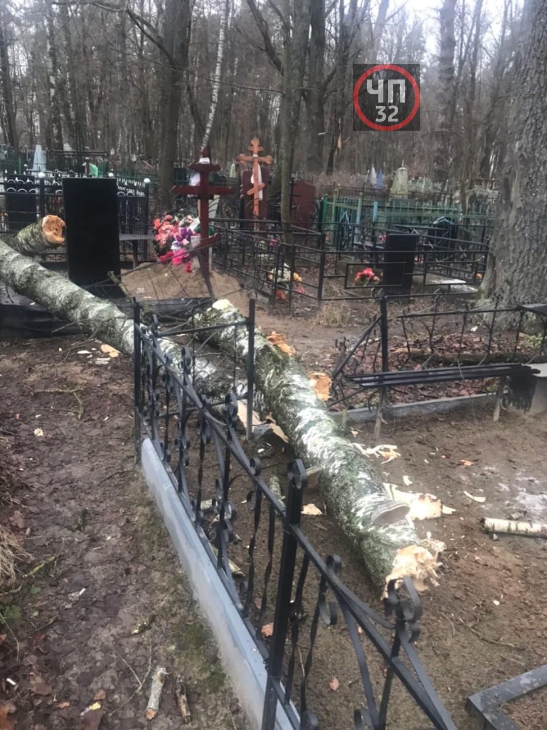 Упавшее дерево на брянском кладбище сломало могильную ограду